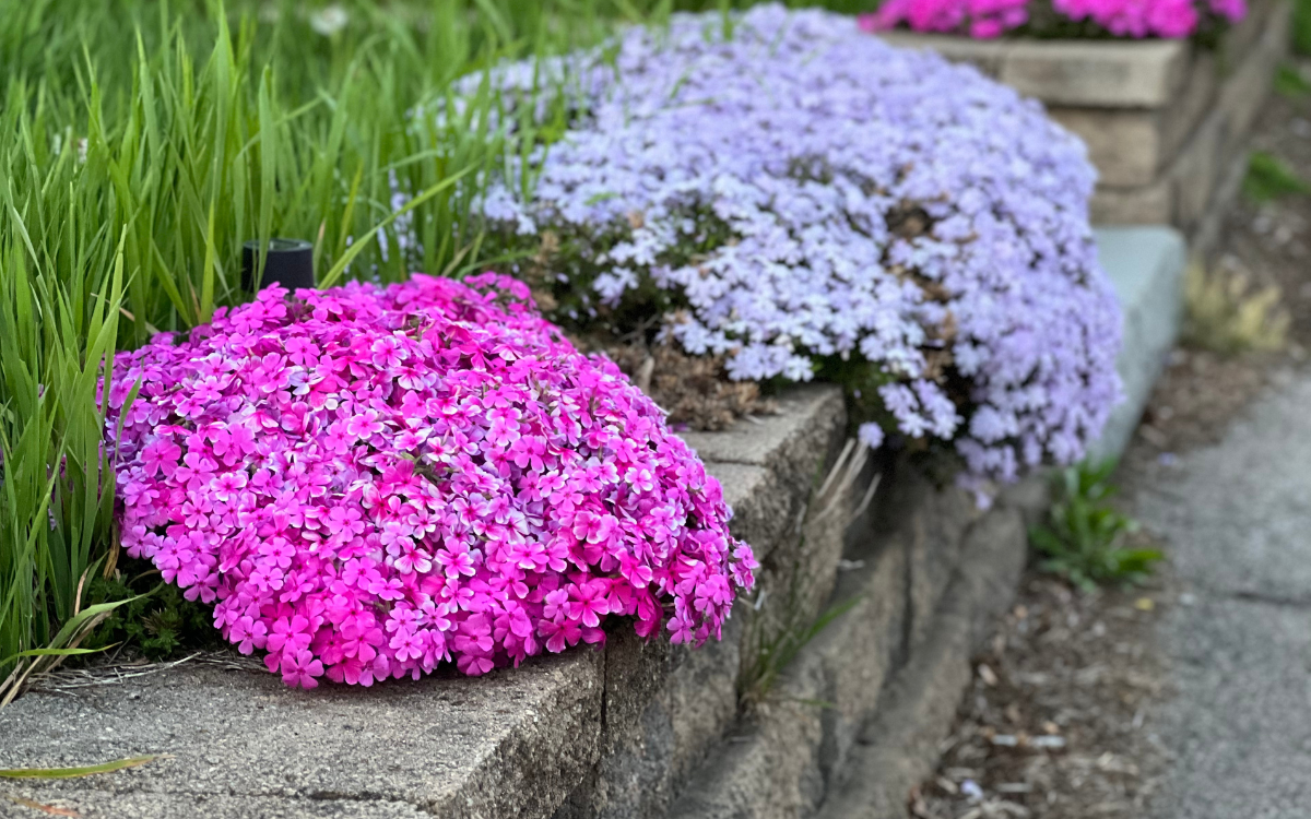 The Ultimate Boston Packing List: What to Bring for Every Season